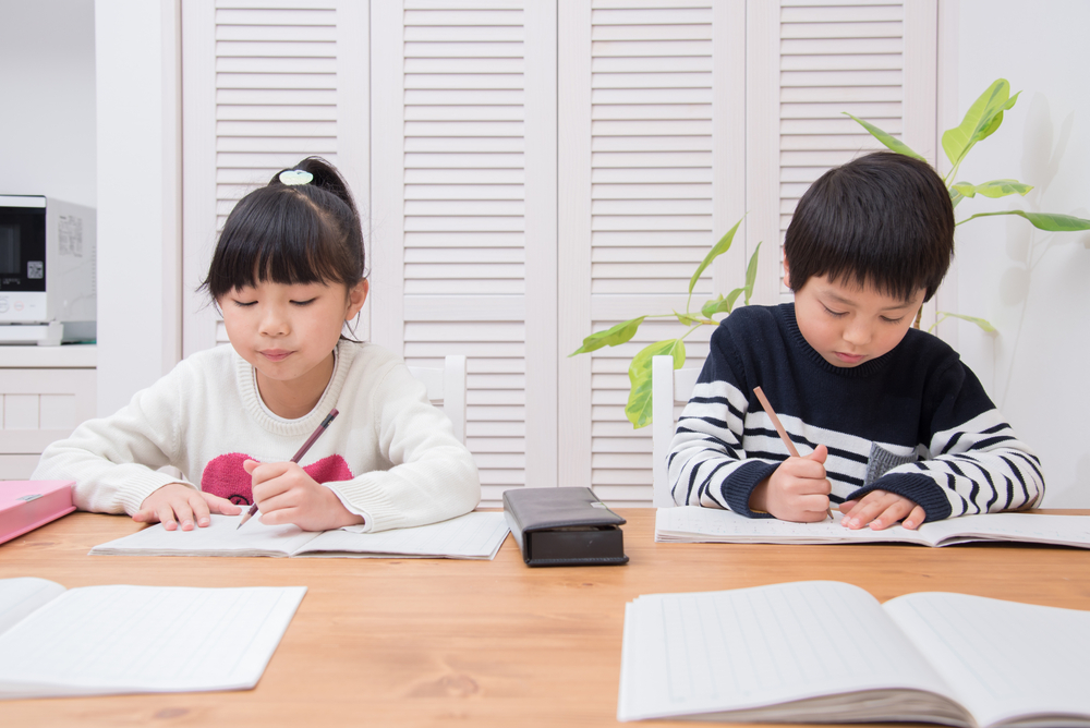 Writing Benchmarks for 3rd Graders image
