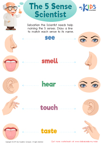 The 5 Sense Scientist Worksheet