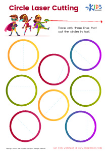 Normal Fractions of Shapes Worksheets image
