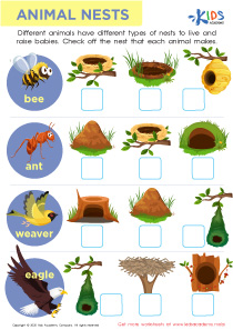 Animal Nests Worksheet