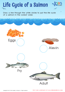 Normal Difficulty Second Grade Life Science Worksheets image