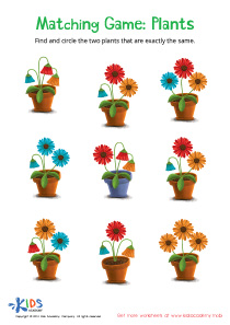 Matching: Plants Worksheet