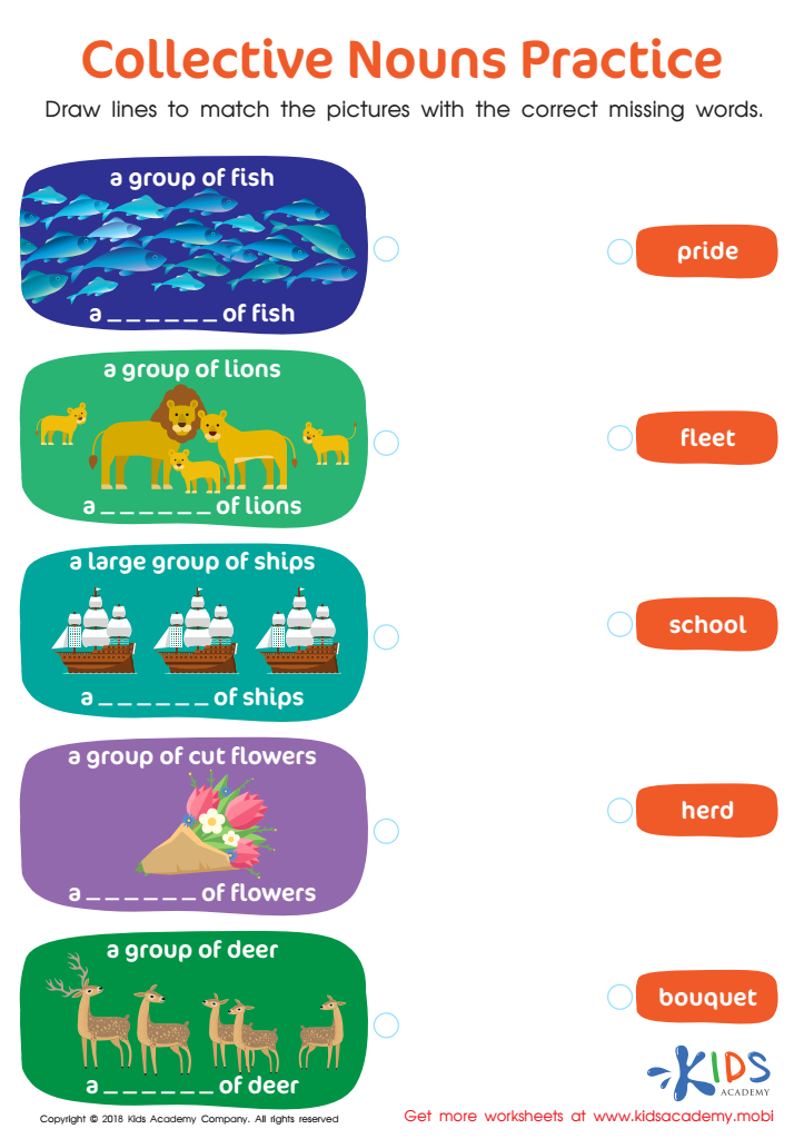 Collective Nouns Practice Worksheet