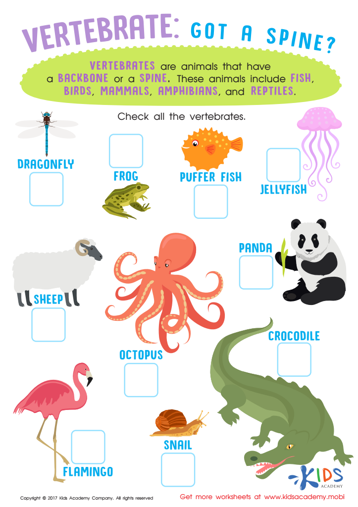 Vertebrates Animals Worksheet for 3rd Grade